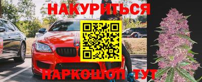 прущие грибы Тулун