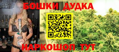 прущие грибы Тулун